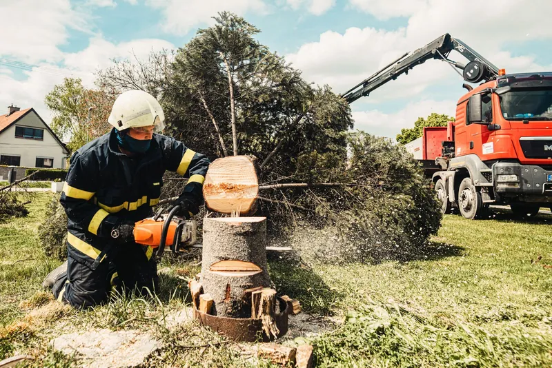 Ga Be Tree Service crew cutting a tree with a grapple truck on site