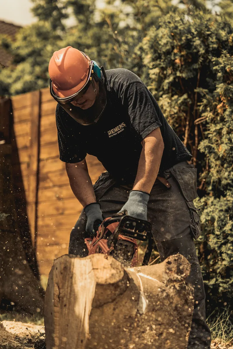 Ga Be Tree Service technician grinding through a large log in a residential backyard